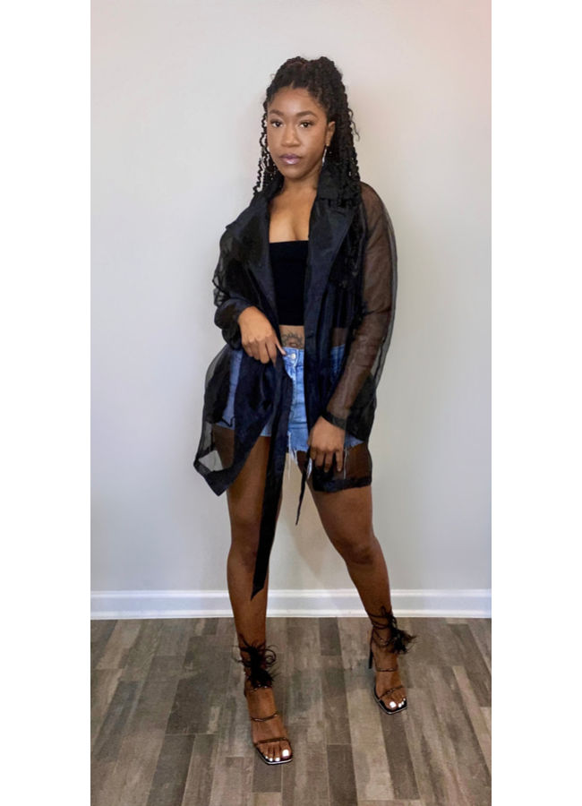 Sheer 2025 black coat